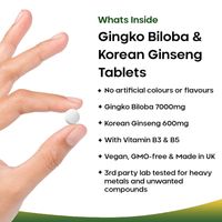 New Leaf Gingko Biloba & Korean Ginseng (360 Tablets)